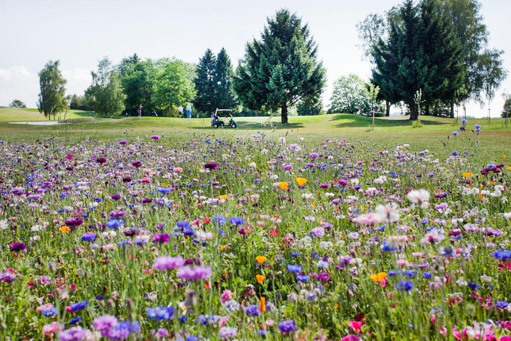 Münchener Golf Club Straßlach