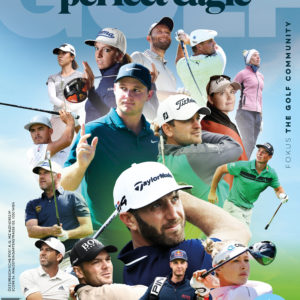 Perfect Eagle Golf 1/21