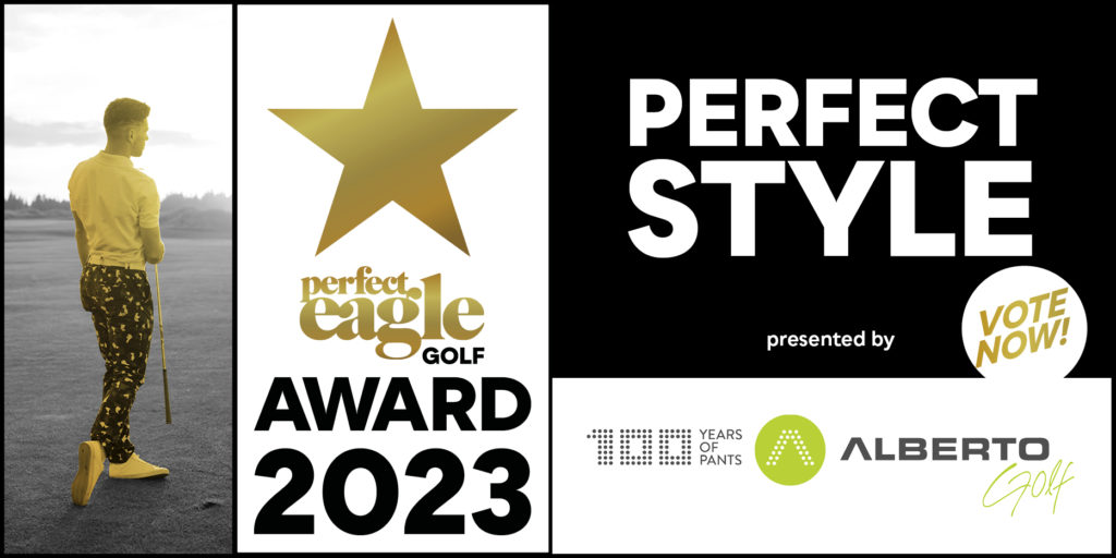 Perfect Eagle Awards 2023 Style