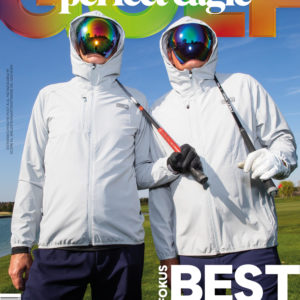 Perfect Eagle Golf 2/22