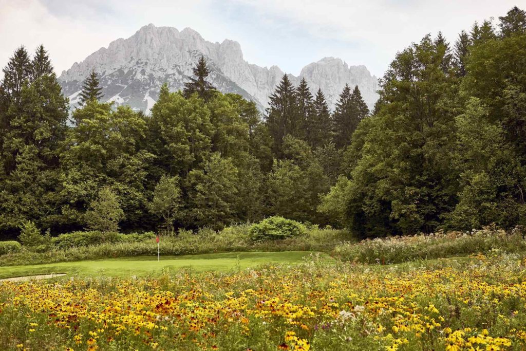 Perfect-Eagle-Golf-Tirol-1