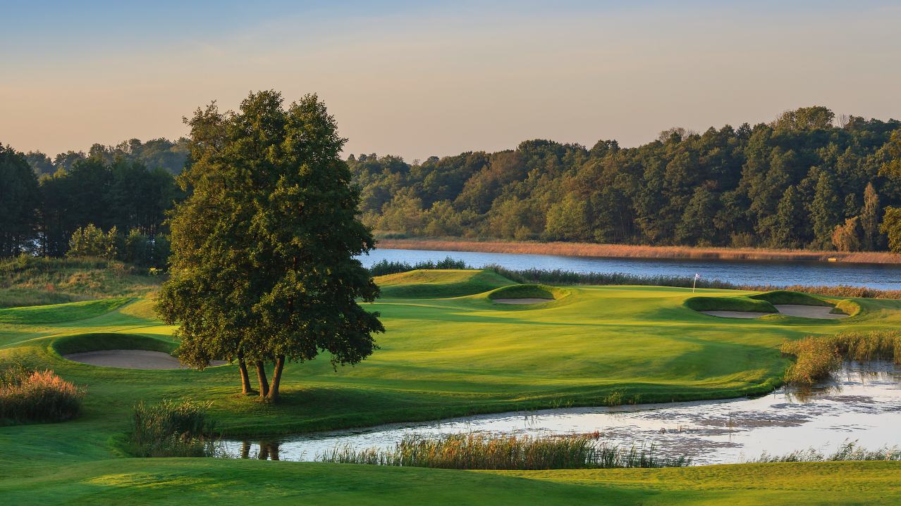 Modry Las Modry Las - Modry Las – Polens Bester? | Perfect Eagle Golf