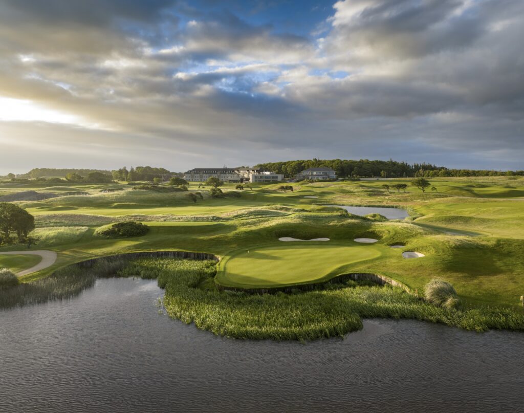The Hawthorn by Galway Bay