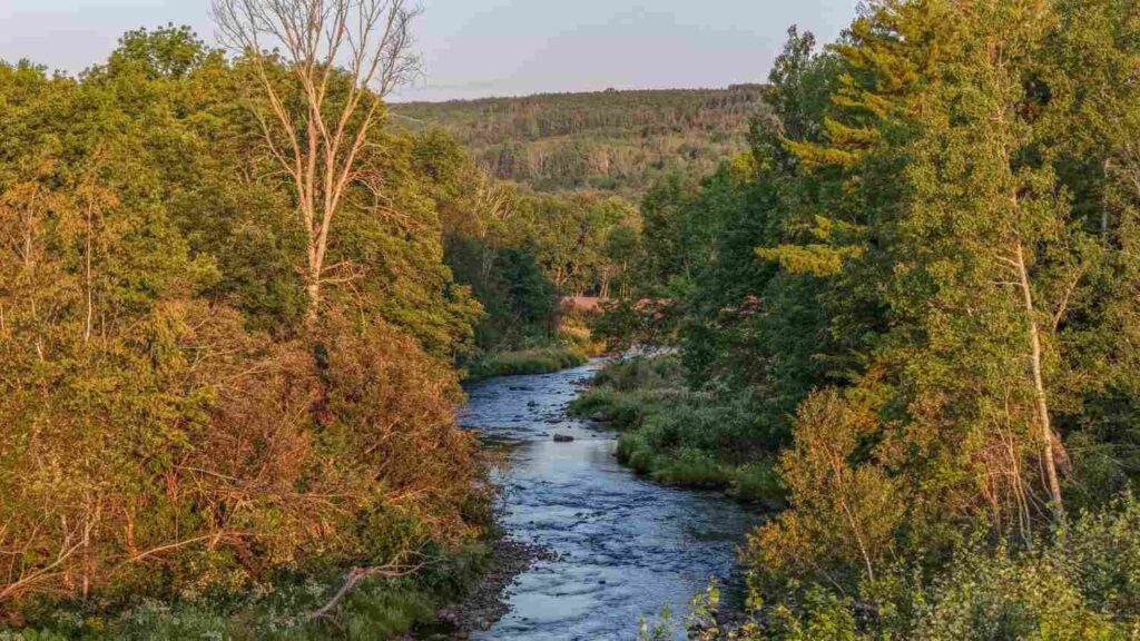 Cabot Wilds am River Philip